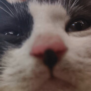 奋斗百天我要打上海major