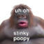 Stinky P00P