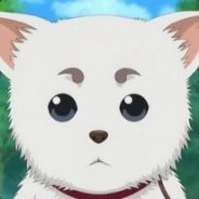 咬你一嘴毛汪汪汪！