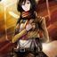 mikasa