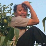 马来臭水沟仰泳王