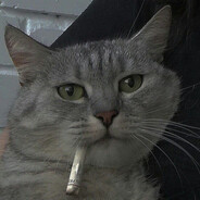 Sabir Steam avatar