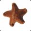 Chocolate Starfish