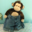 monkey_sk