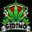 girinof1