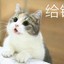 小田哥