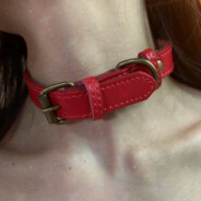 但你每天都在抽烟