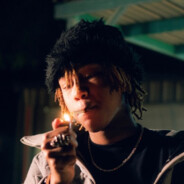 SCHWARZENEGGER BICEPS