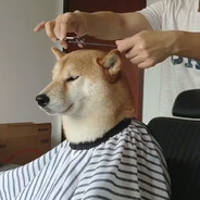 diwad0909 skins.army