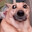 demerval o delicado SKINS
