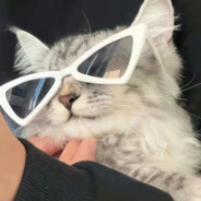 狂扇哑巴那张好嘴