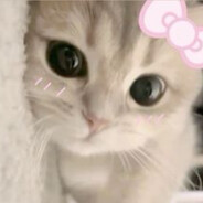 𝔅𝔬𝔫𝔦𝔱𝔞