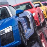 小小小小小小马