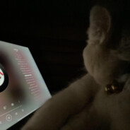 幽默风趣的臭男人