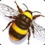 SwarmofBees
