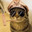 FarSmile7when