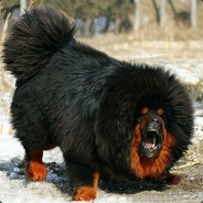 上去给你一套组合拳