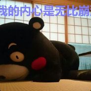 屏蔽所有人，认真玩游戏