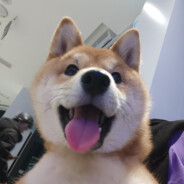 白天不懂爷的黑