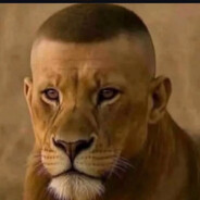euphor4a avatar