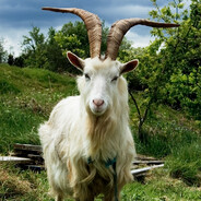 симпл анимешник