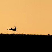 윤슈
