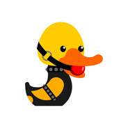 SDMS_Duck