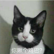 几把猫很担心你