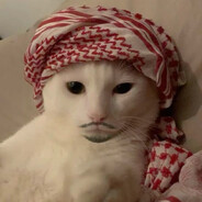 𝓪𝓵𝓮𝓴𝓼𝓲☼ Steam avatar