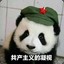 昊子