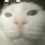 sigmacat51's avatar