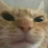Jommy