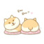 kalong