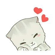 SmartLoup机智的小陆