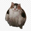 VibedCat