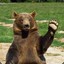 for_mother_russia