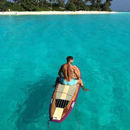 悲伤铁锅炖大鹅