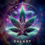 Galaxy Genetics