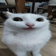 !v