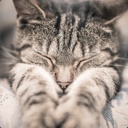 我看你真的头大