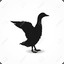 ♠BLackDucK