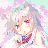 CC狗