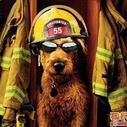 我是消防dog