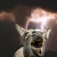 Thunderdonkey - steam id 76561197964413845