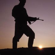 VULTO - steam id 76561197971683644