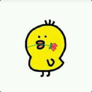 一只骄傲的小菜鸡