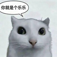 鹏雨严