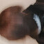 Teramisu444