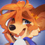 Little Coding Fox