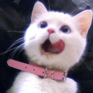 The truth that you leave